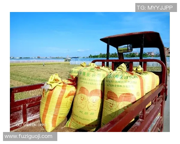 谢什科的传奇人生与时代变迁的交织探索 谢什科的传奇人生与时代变迁的交织探索
